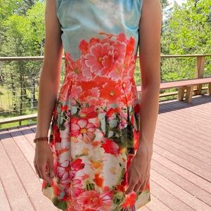 Summer Floral Dress (size 4)